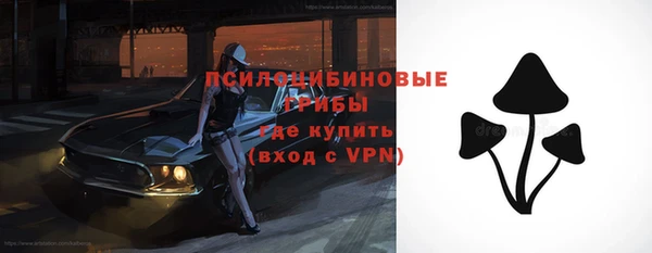 амфетамин Белокуриха