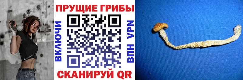 купить наркотик  Иркутск  мориарти формула  Псилоцибиновые грибы прущие грибы 