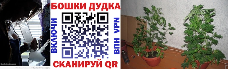 что такое   Иркутск  Шишки марихуана ГИДРОПОН 